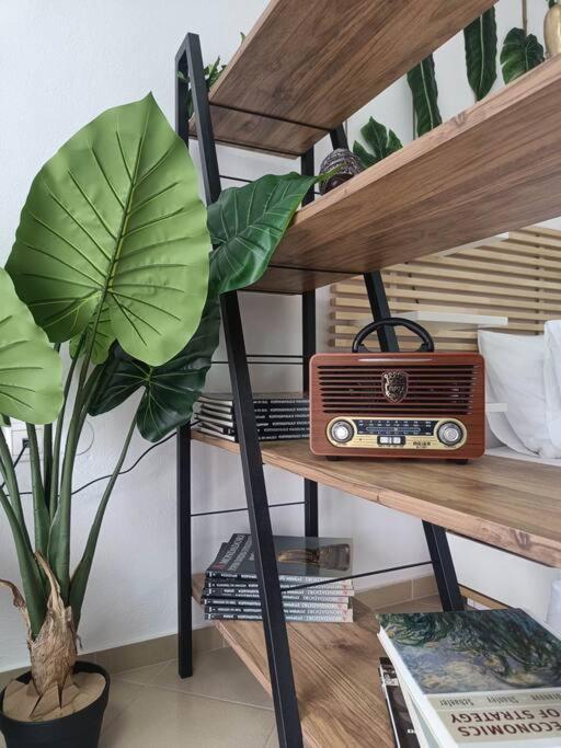φρίντα στο κέντρο της ορεστιάδας Apartment Orestiada