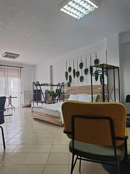 φρίντα στο κέντρο της ορεστιάδας Apartment